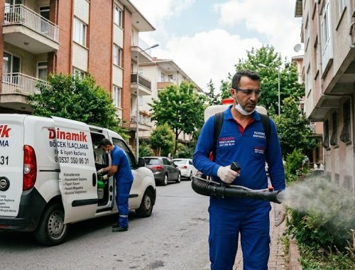 istanbul fare ilaçlama